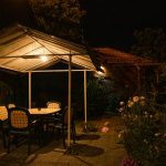 IMG_6113